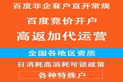 百度竞价包年服务优势解析